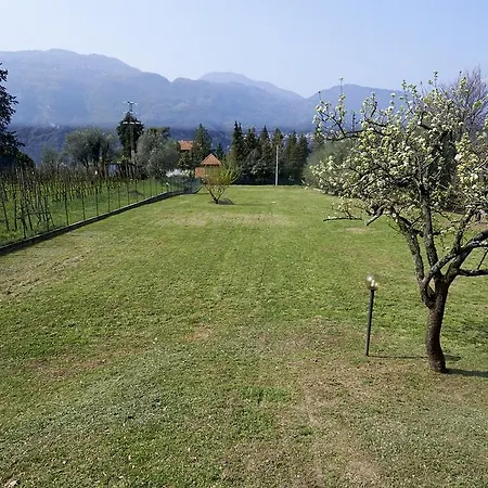 Rosy Villa
